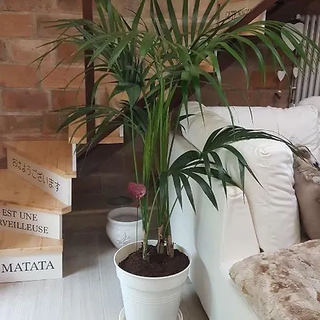 Loft Giuly Vignanello