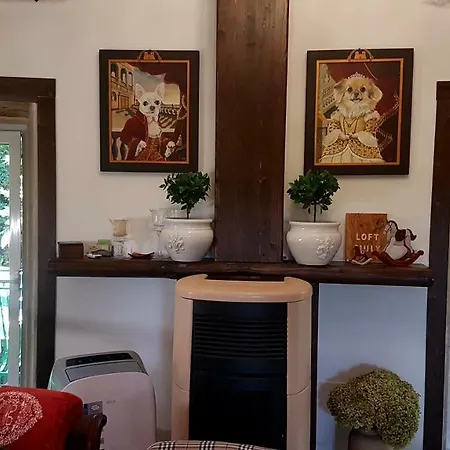 Loft Giuly Apartment