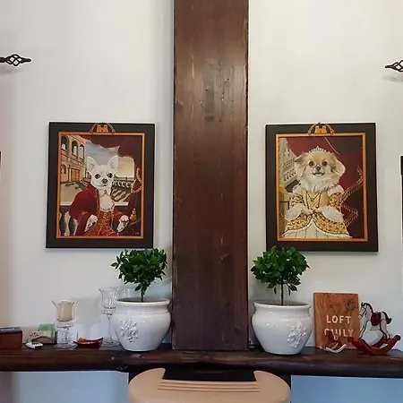 Loft Giuly Vignanello