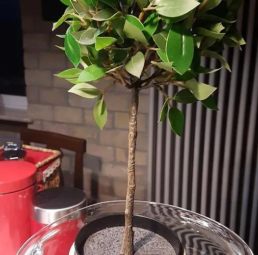 Loft Giuly * Vignanello